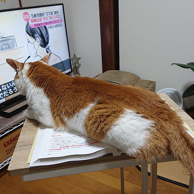 mugi77327732さんの実例写真
