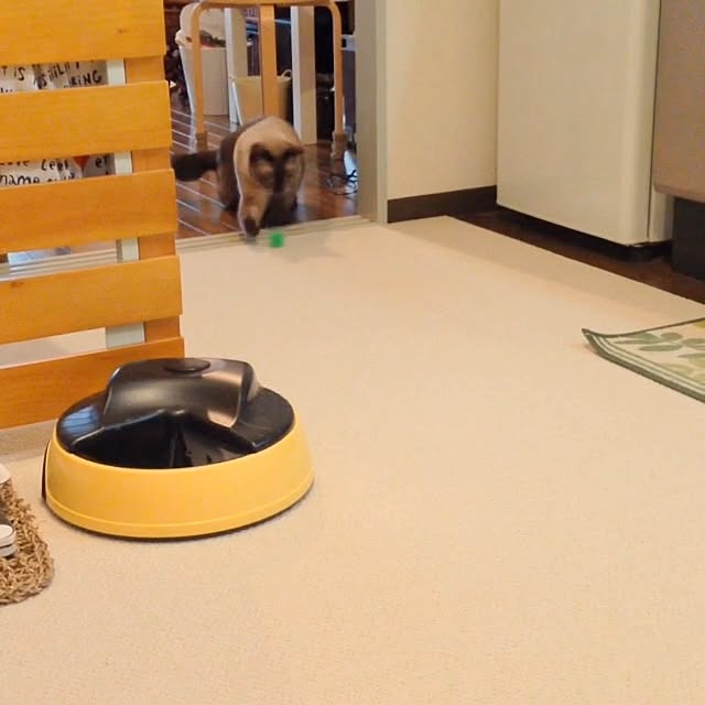 Takachikiさんの実例写真
