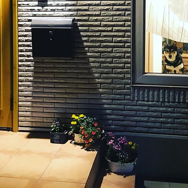 yugさんの実例写真