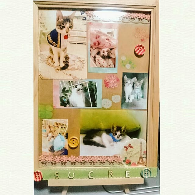 totoko3927さんの実例写真