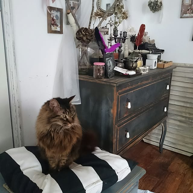 pomponelaさんの実例写真