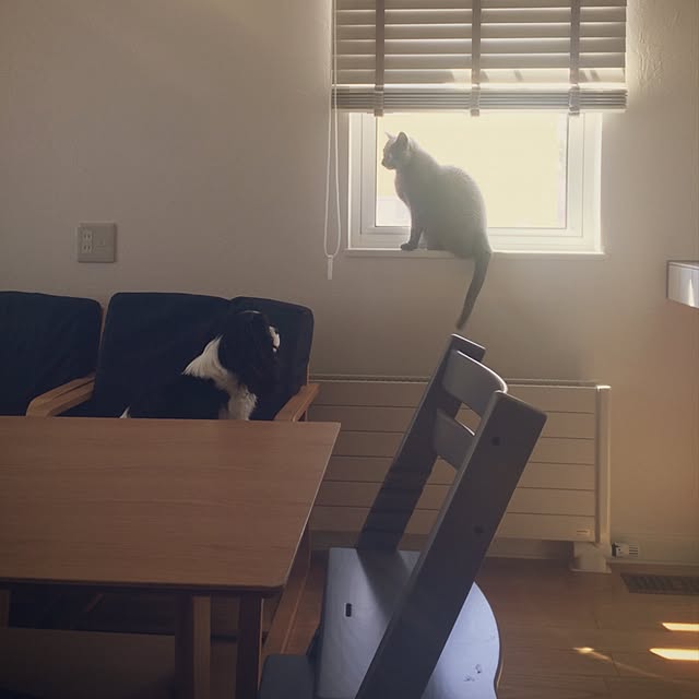 apiさんの実例写真