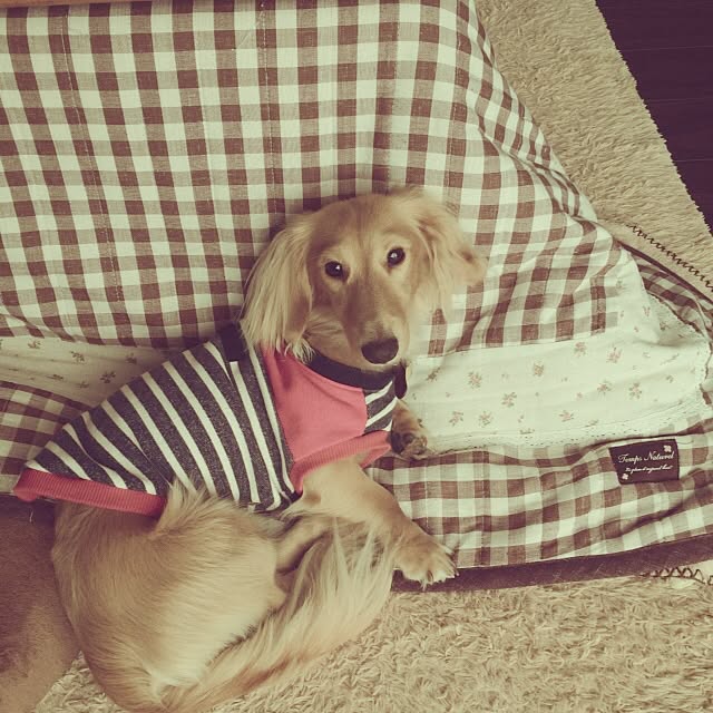 -Riley-mama.-さんの実例写真