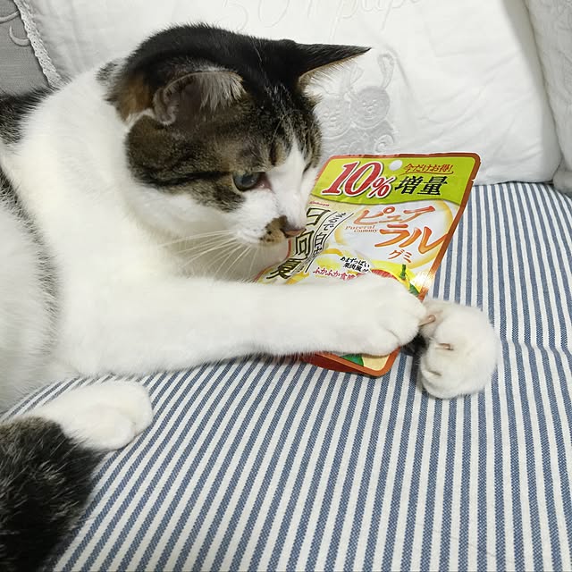 yuchiさんの実例写真
