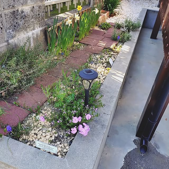 ameamekaasanさんの部屋