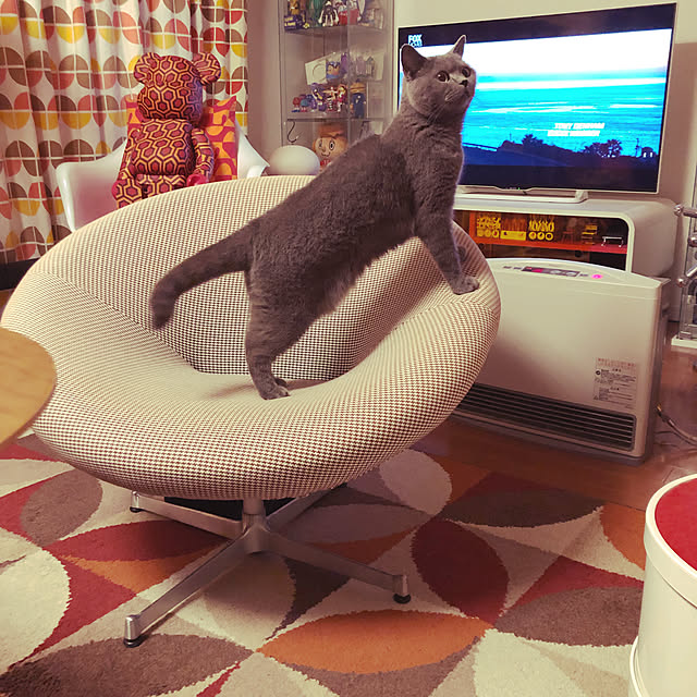 ikettenさんの実例写真