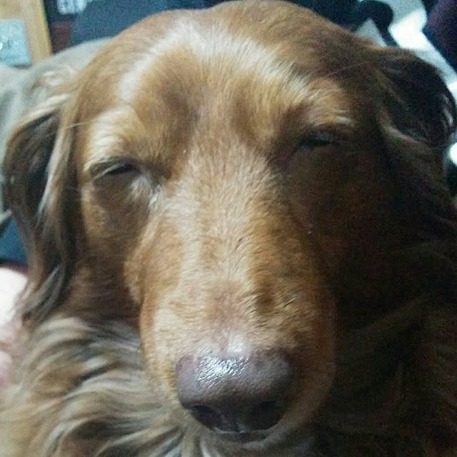 satoさんの実例写真