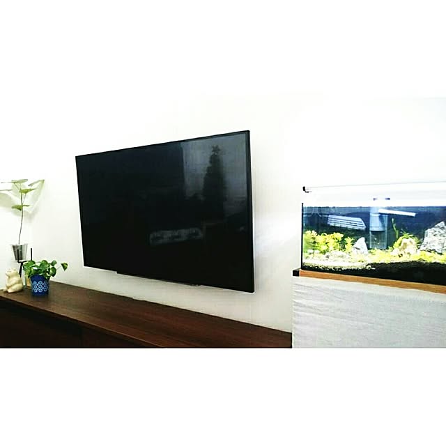 tk_home_さんの実例写真