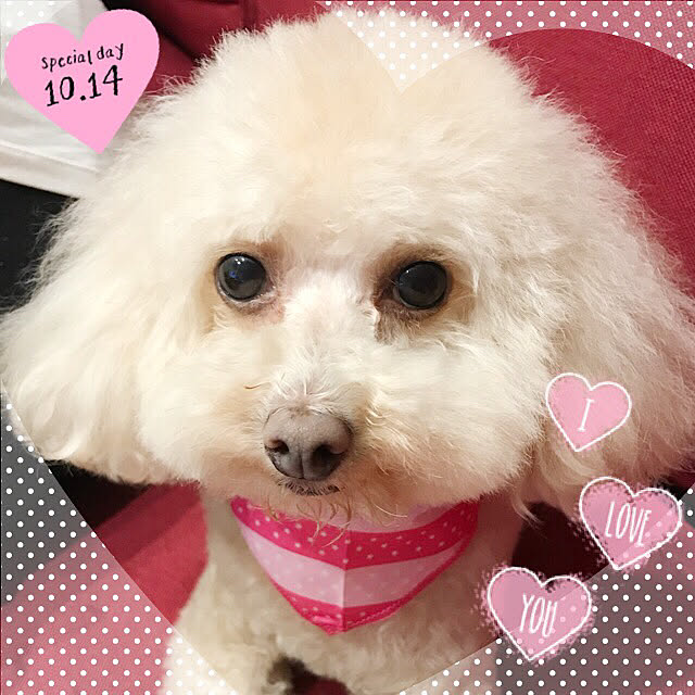 Rinさんの実例写真