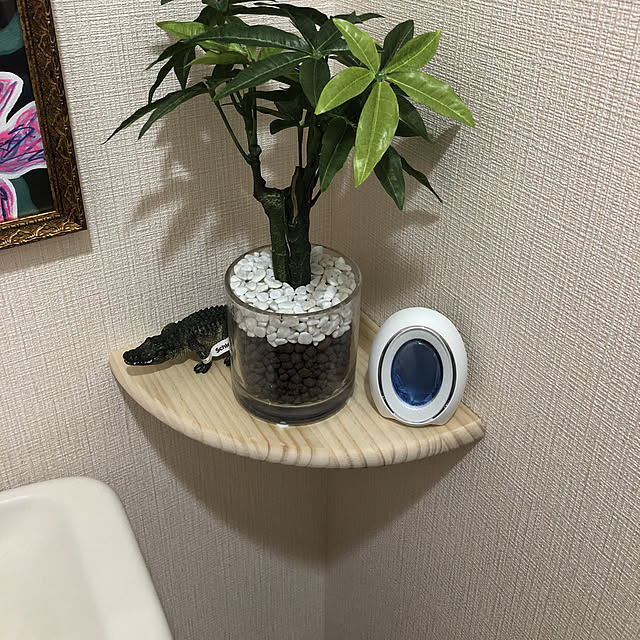 お気に入り/ニトリ/バス/トイレのインテリア実例 - 2019-03-27 13:17:21