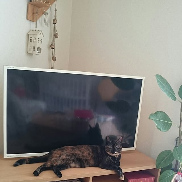 nanoさんの実例写真