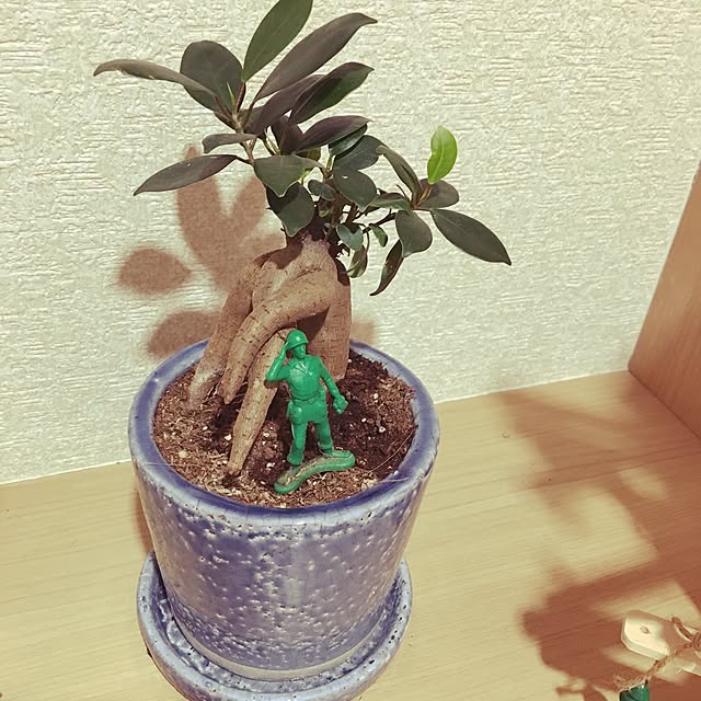Tmy.さんの実例写真