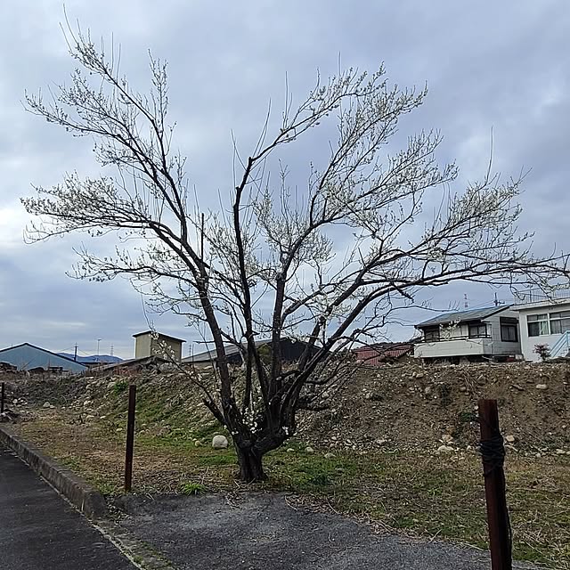 Rubiconさんの部屋