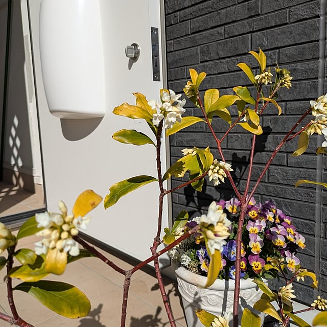 minnieさんの部屋