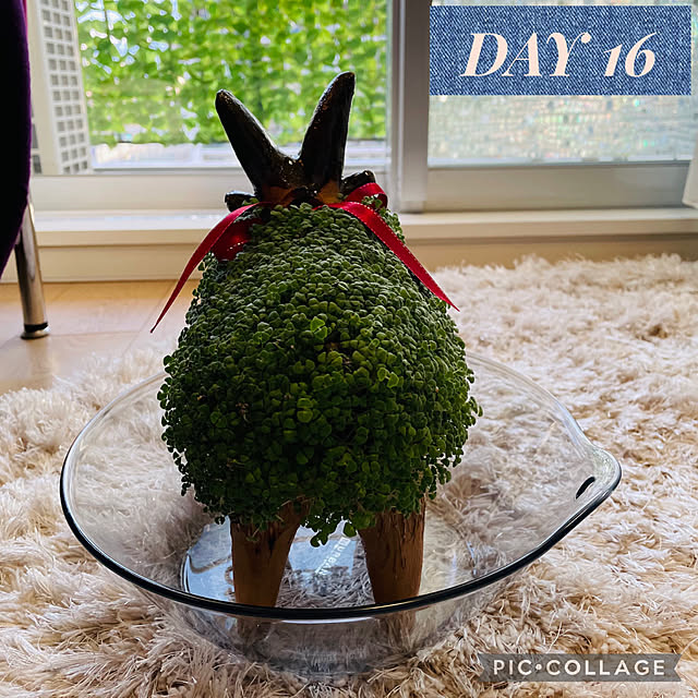 aureaさんの実例写真