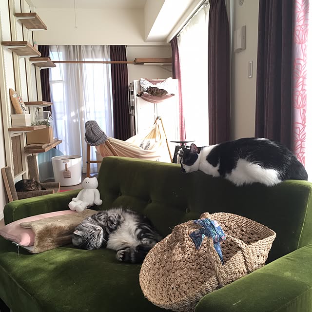 mikomaruさんの実例写真