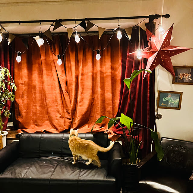 tomorinさんの部屋