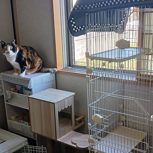 aiさんの実例写真
