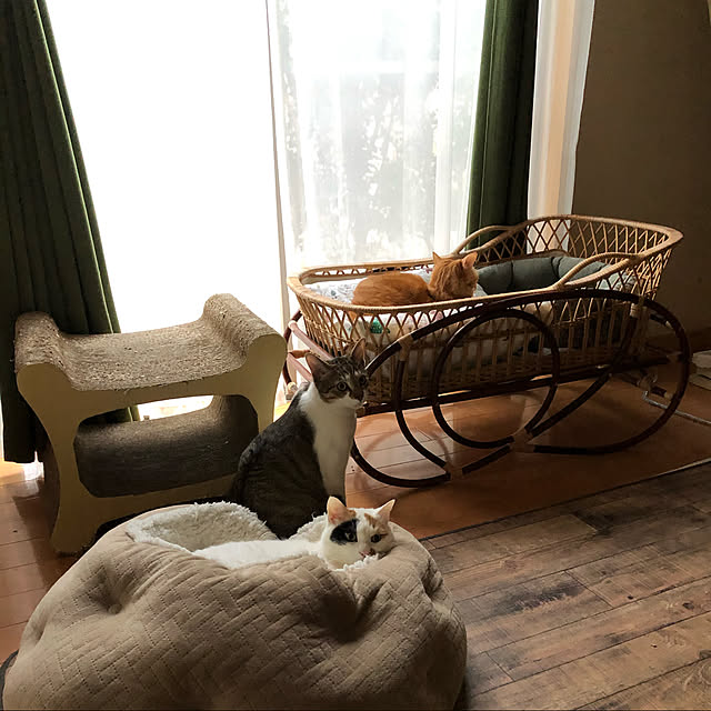 junbuさんの実例写真