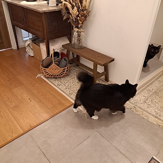 kankanmom_horn_5catsさんの部屋