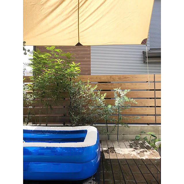 ctscandyさんの実例写真
