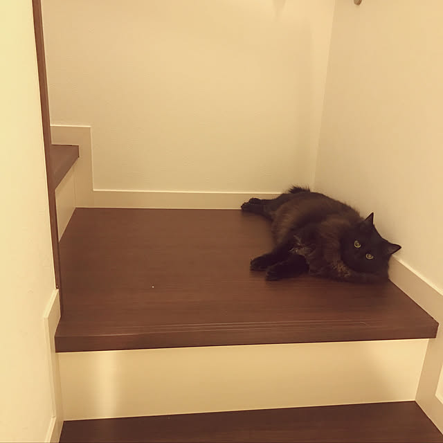 xxxxさんの実例写真