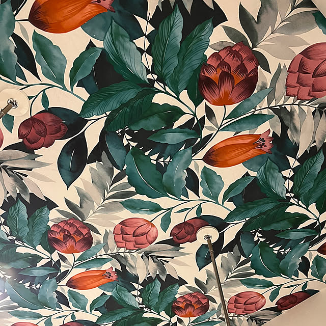 sssskkkk0218さんの実例写真