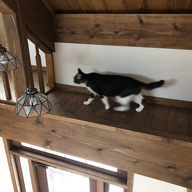 itaruさんの部屋