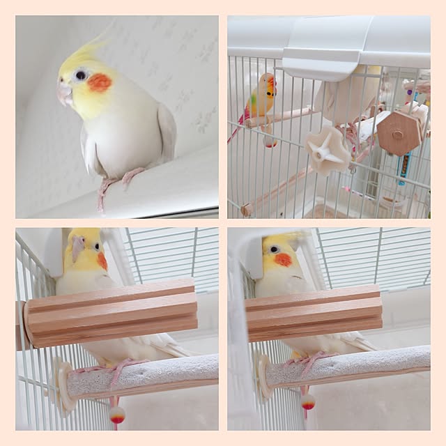 fleur-mamanさんの部屋