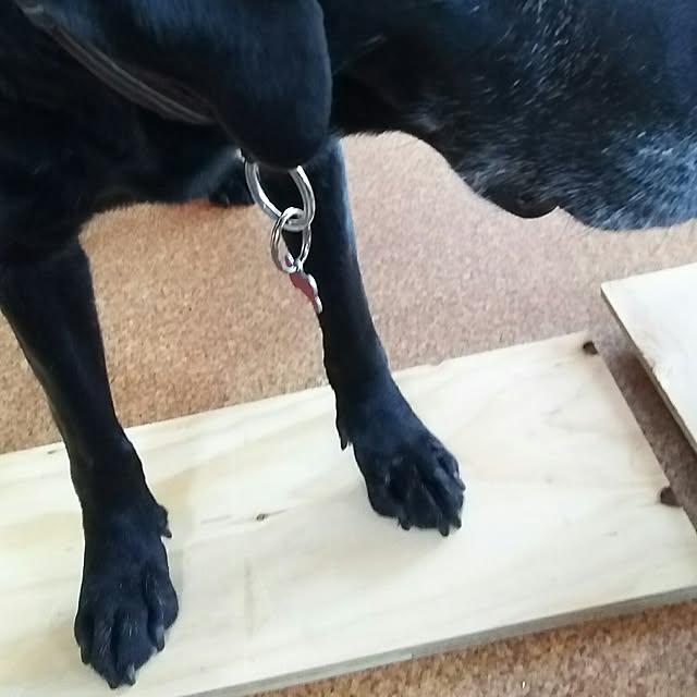 ohisamaさんの実例写真