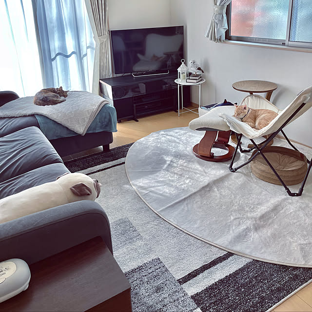 chiiさんの実例写真