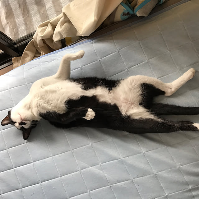 kazaneさんの実例写真