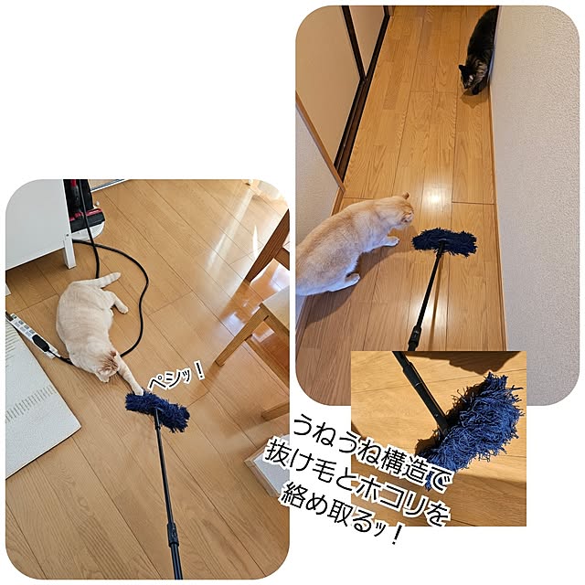 makoさんの部屋