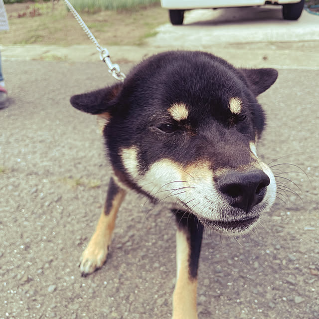 makiさんの実例写真