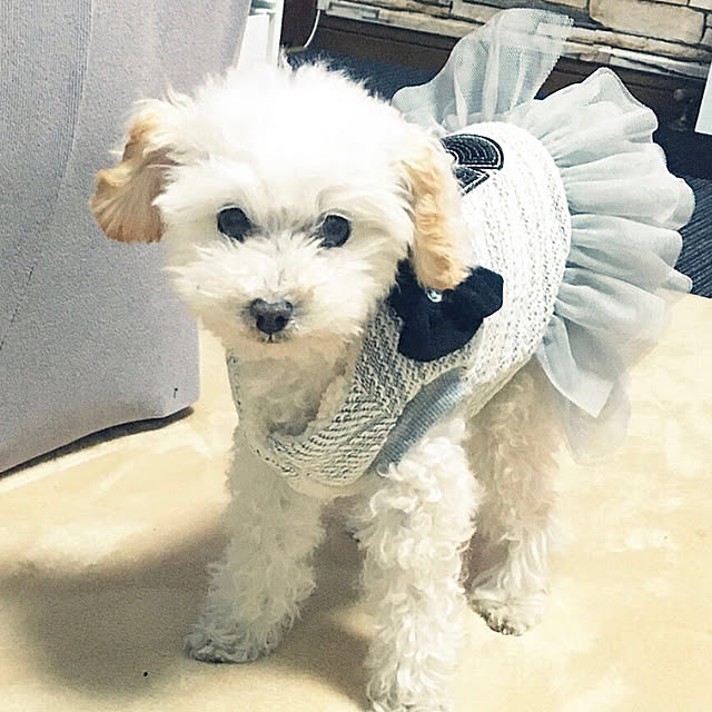 flowerさんの実例写真