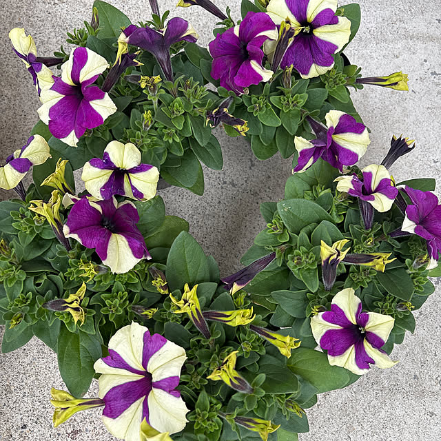 vanity.39さんの実例写真