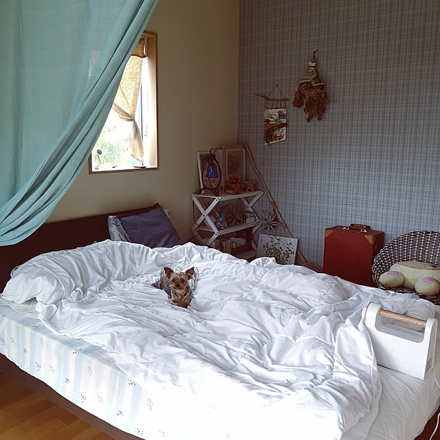 akiさんの実例写真