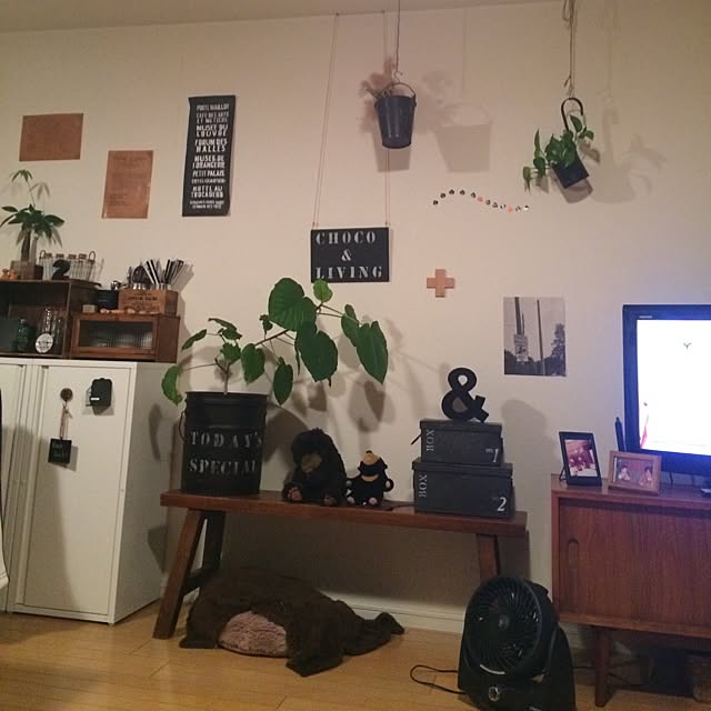 riechocoさんの部屋