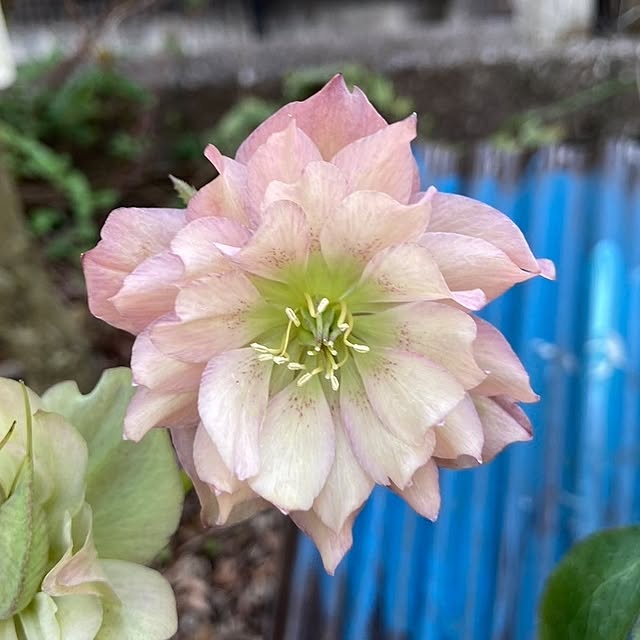 min_nimさんの実例写真