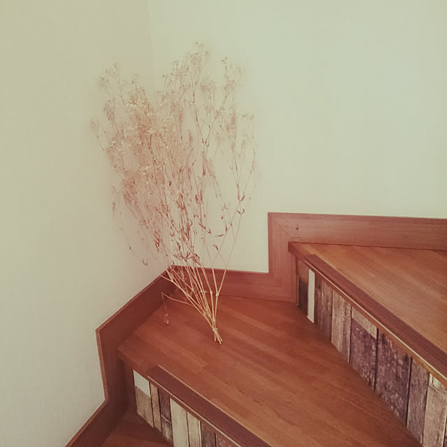 mintさんの実例写真
