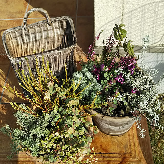 marronさんの実例写真