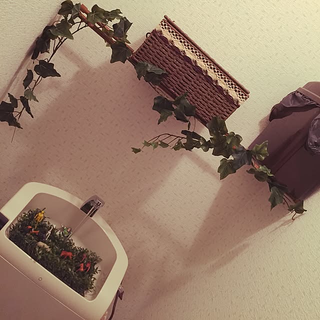 2_omemeさんの実例写真