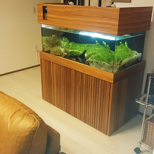 Yoshiさんの実例写真