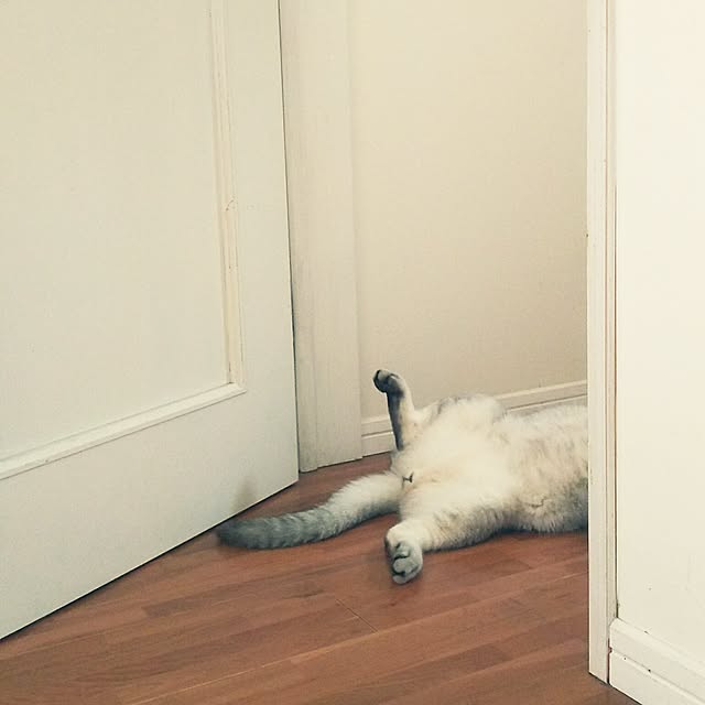 tamacharouさんの実例写真