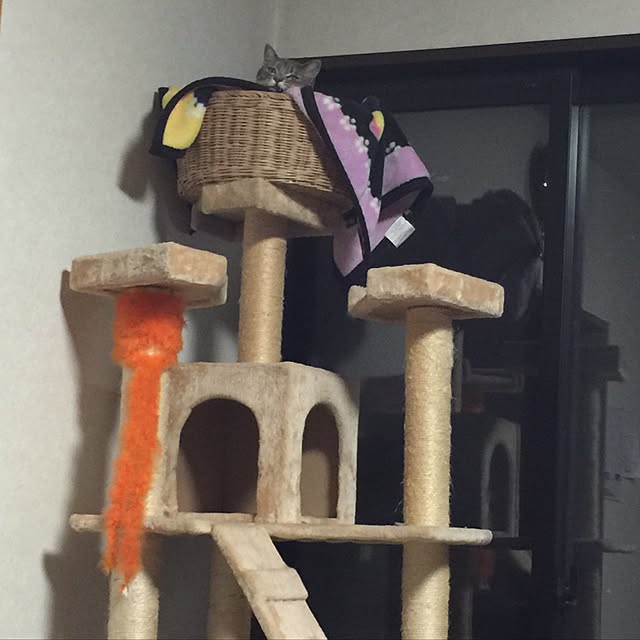 uuuuukoさんの実例写真