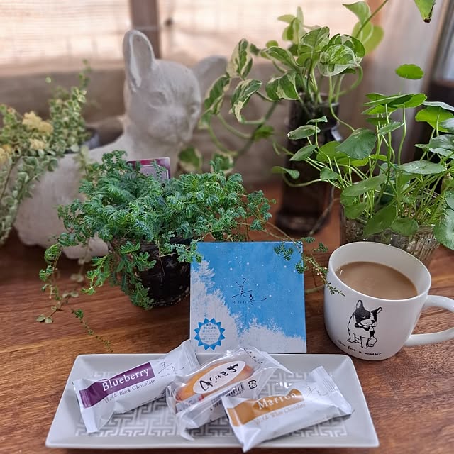 noaさんの実例写真