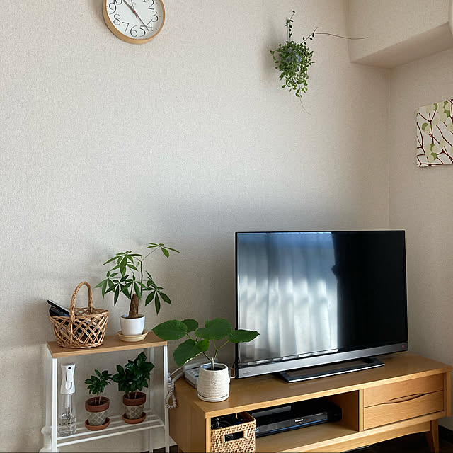 観葉植物/リビングのインテリア実例 - 2021-09-20 10:23:10