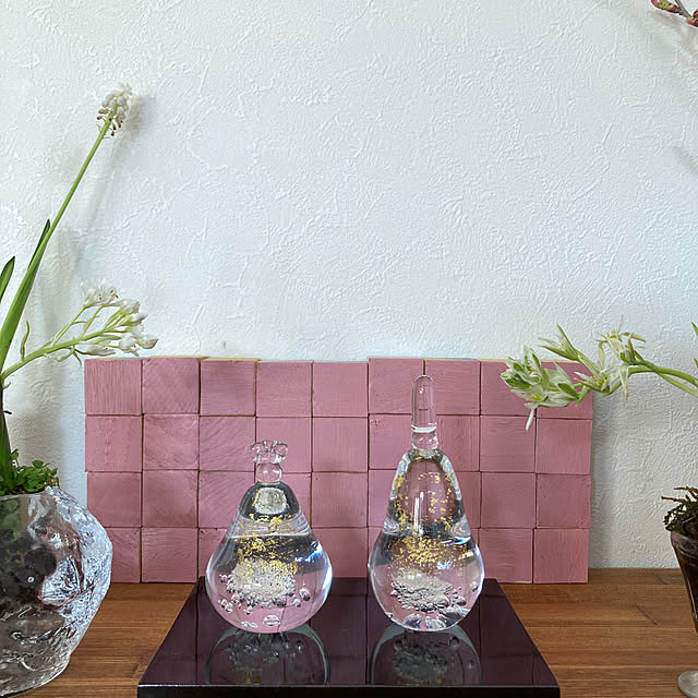 hatsugaさんの部屋