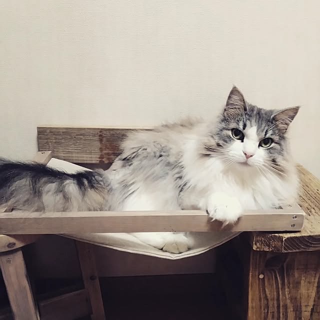 luke.solさんの実例写真