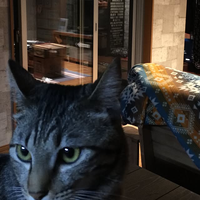 RIN5さんの実例写真